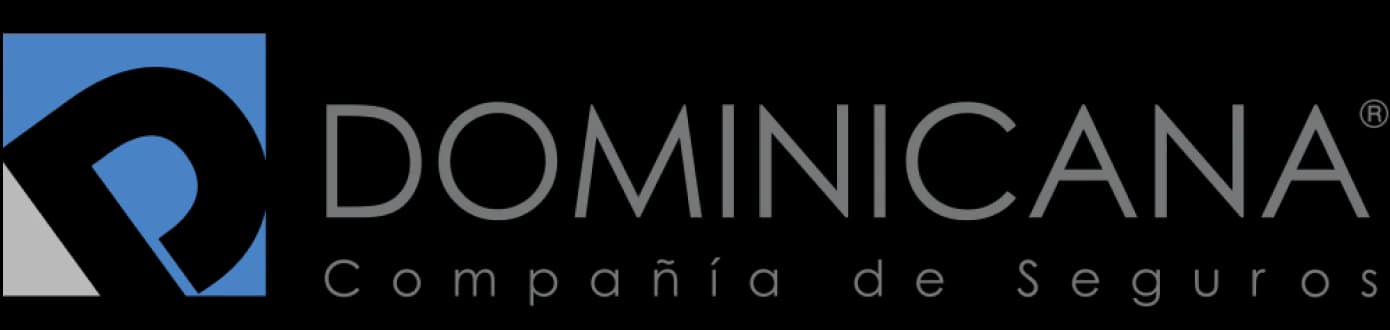 Dominicana de Seguros (logo provisional)